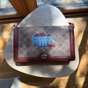Mint condition Riley Coach purse
